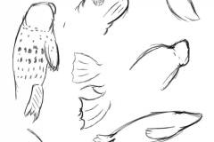 272998952_346224150845043_5241530835630374691_n